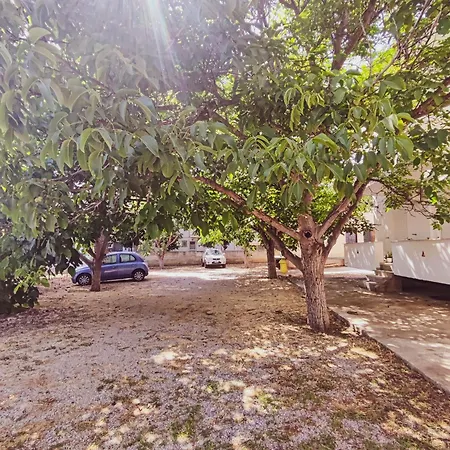 Grandma's Pine Lejlighed Skala (Evia)